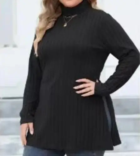 Women's High Neck Casual Comfortable Long Sleeve Top