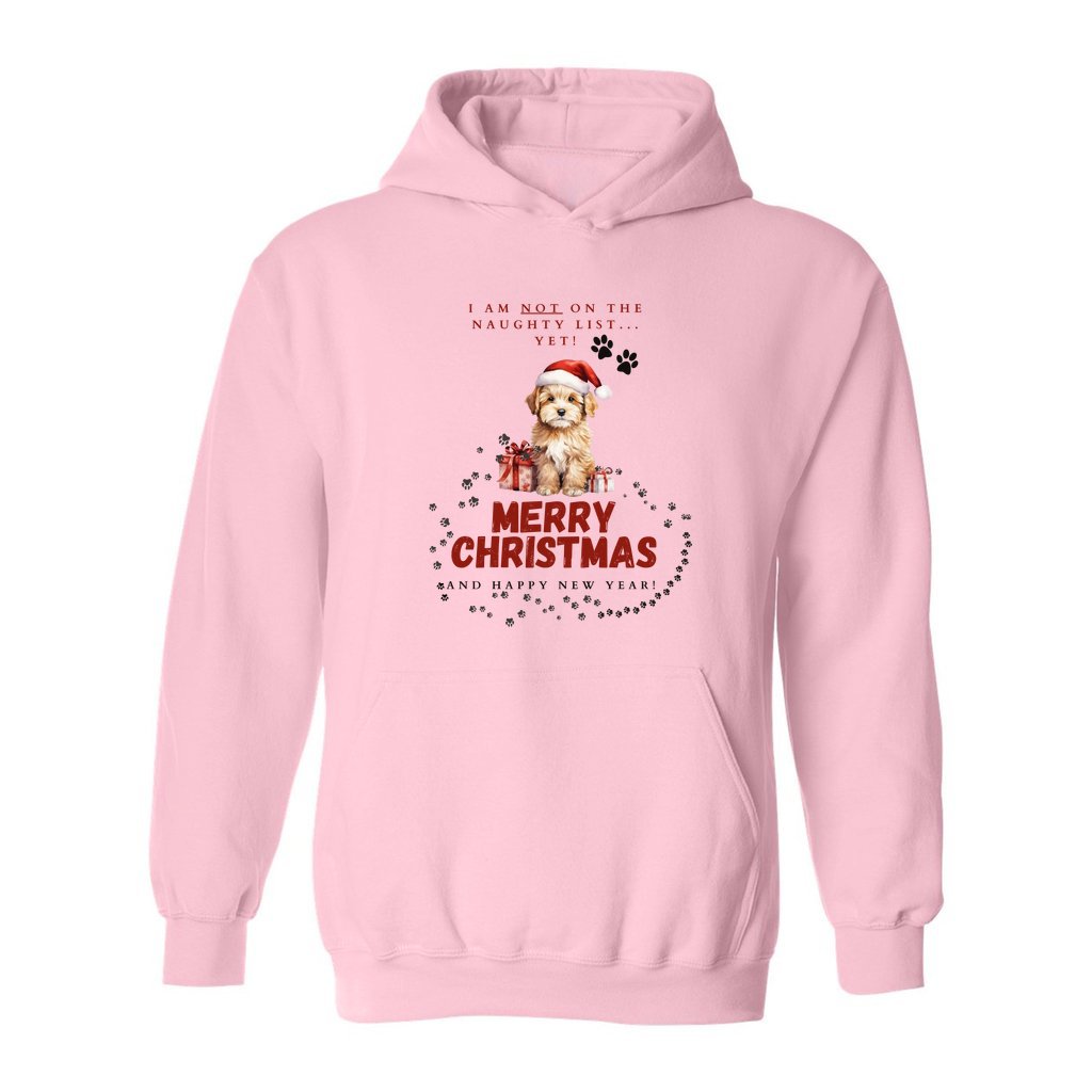 front_48